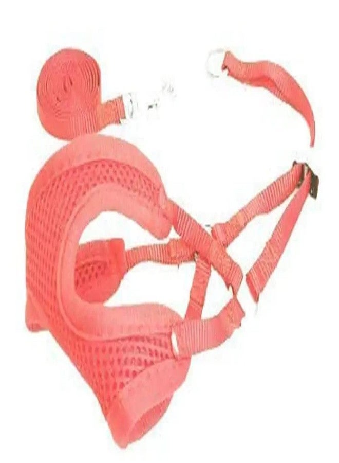 Pups&Pets Puppy Vest Harness and Leash Set Soft Mesh Comfort Fit No Pull No Choke Padded Vest Harness with Leash for Puppy, Cats and Small Pets (Orange) - Image 1